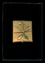 gift-box_52288294926_o